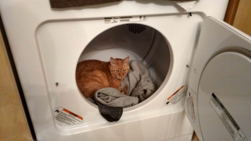 A ginger cat is curled up on a pile of clothes inside an open, front-loading dryer. The door is ajar, and the cat looks relaxed and comfortable in its makeshift bed.